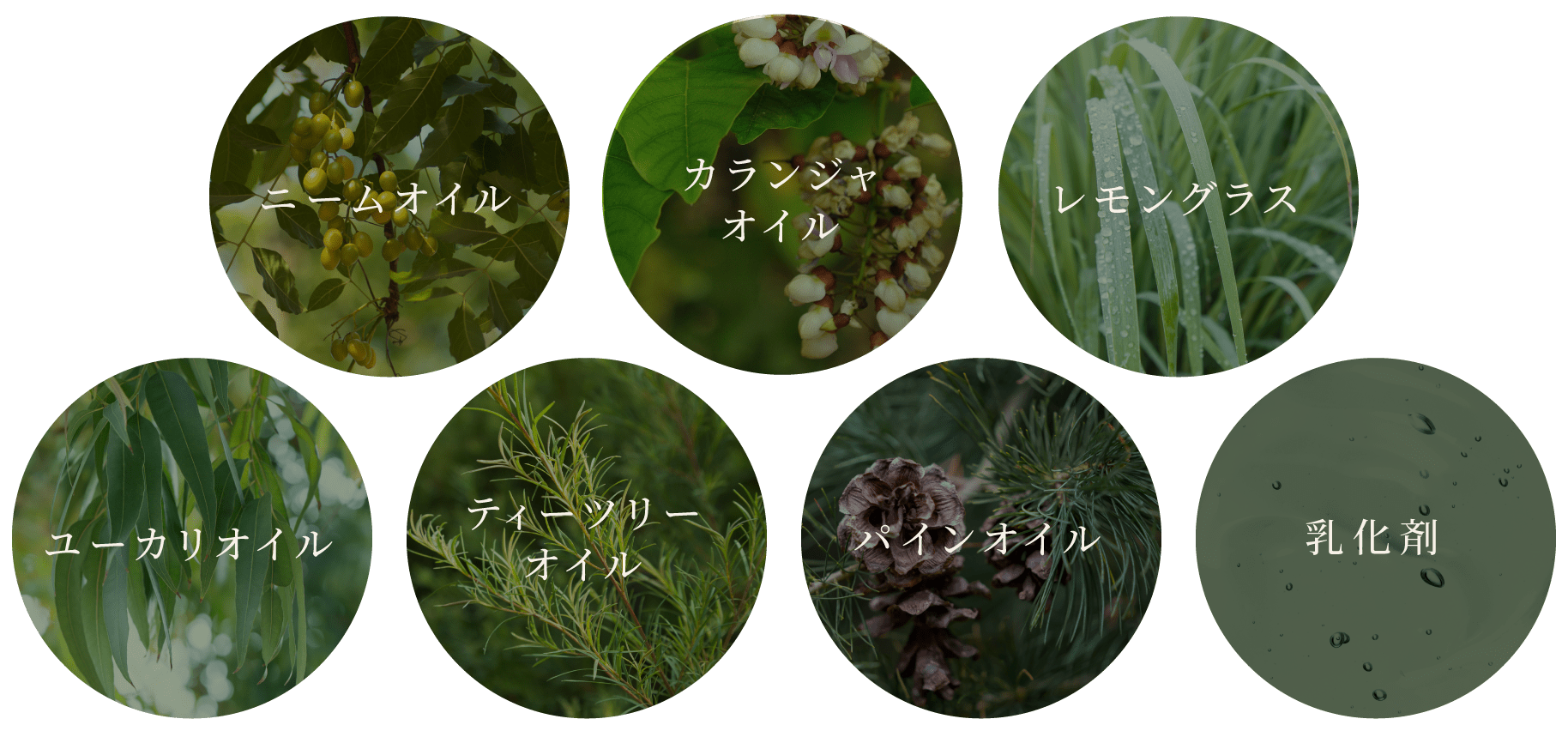 植物オイルと乳化剤